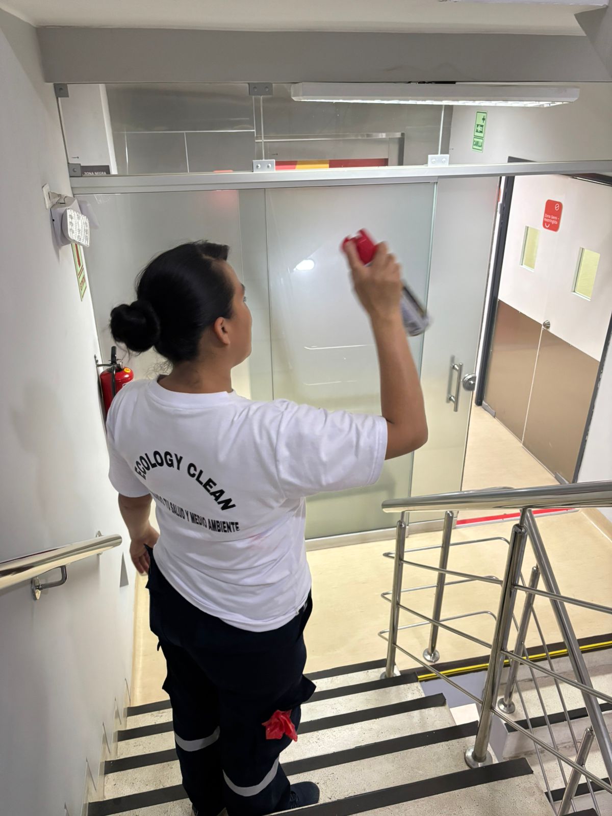 Equipo Ecology Clean